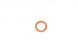 Oil drain plug gasket