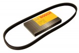 Ремень генератора Nissan Primera 93-01/Peugeot 205/309 85-98/Hyndai Accent 1.1-1.6 95-10 (4PK815)
