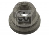 Wheel nut