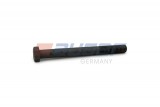 Leaf spring fixing bolt