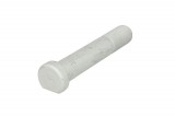 Wheel bolt