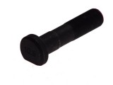 Wheel bolt