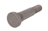 Wheel bolt