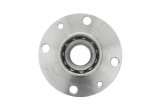 Wheel bearing kit with a hub