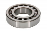 Oscillatory ball bearing
