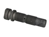 Leaf spring bolt