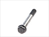Leaf spring fixing bolt