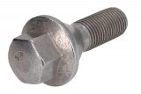 Wheel bolt