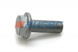 Raw HEX bolts