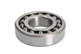 Oscillatory ball bearing