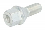 Wheel bolt