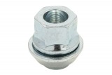 Wheel nut