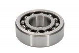 Oscillatory ball bearing