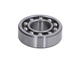 Oscillatory ball bearing