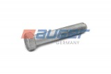 Leaf spring fixing bolt