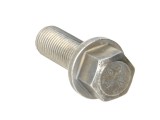Wheel bolt