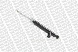 Rear shock absorbers set