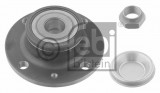 Wheel bearing kit with a hub
