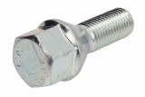 Wheel bolt