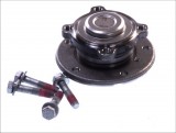 Wheel bearing kit with a hub