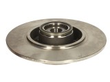 Brake disk with bearing