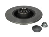 Brake disk with bearing