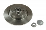 Brake disk with bearing