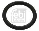 Brake shoe pivot