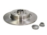 Brake disk with bearing