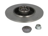 Brake disk with bearing