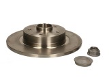 Brake disk with bearing