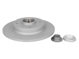Brake disk with bearing