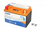 Maintenance free battery