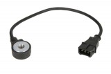 Knock sensor