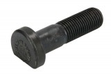 Wheel bolt