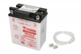Maintenance free battery