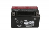 Maintenance free battery
