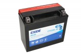 Maintenance free battery