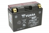 Maintenance free battery