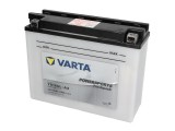 Maintenance free battery