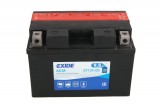 Maintenance free battery