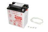 Maintenance free battery