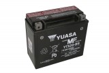 Maintenance free battery