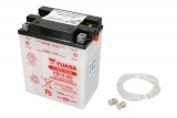 Maintenance free battery