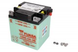 Maintenance free battery