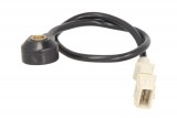 Knock sensor