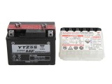 Maintenance free battery