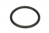 Rubber O-Rings