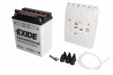 Maintenance free battery