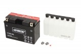 Maintenance free battery